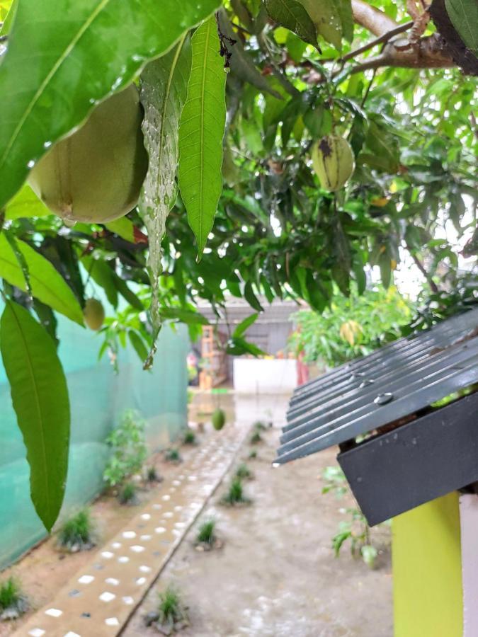 Stargaze Backpackers Hostel Guwahati Eksteriør billede