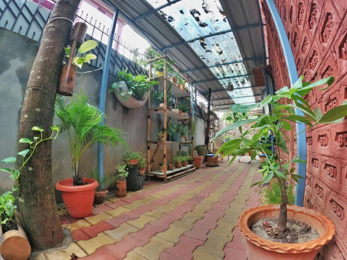 Stargaze Backpackers Hostel Guwahati Eksteriør billede