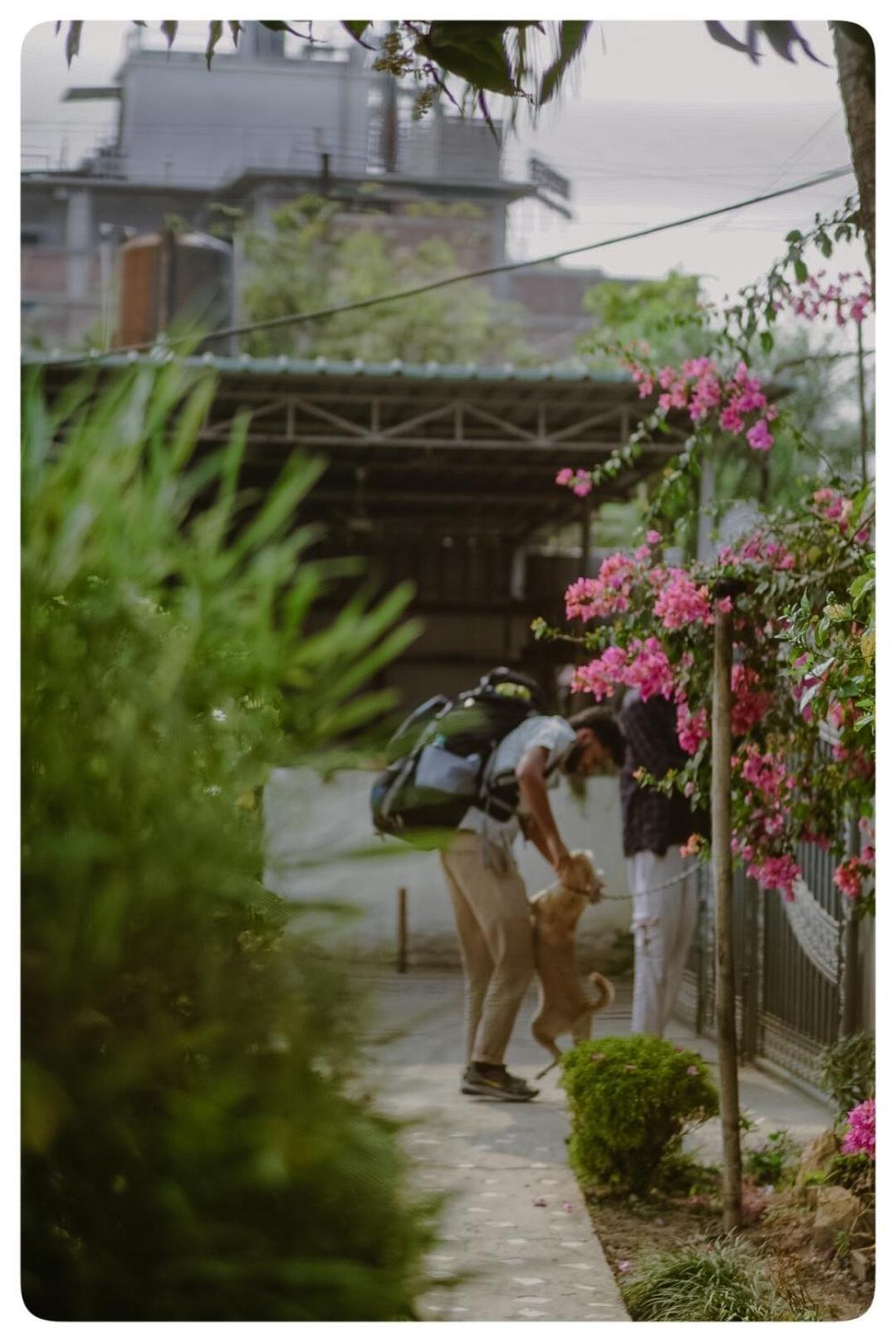Stargaze Backpackers Hostel Guwahati Eksteriør billede